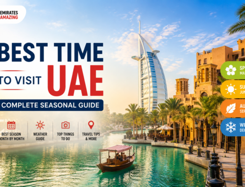 Best Time to Visit UAE – Complete Seasonal Guide