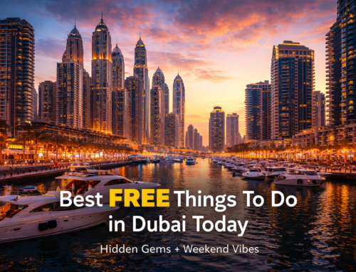 Best Free Things to Do in Dubai Today